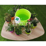 Indoor Plant Watering Kit