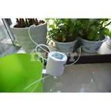 Indoor Plant Watering Kit