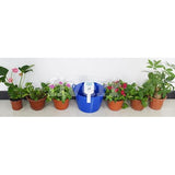 Indoor Plant Watering Kit