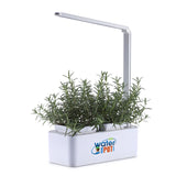 Water Your Pot Smart Mini Garden with Grow Light