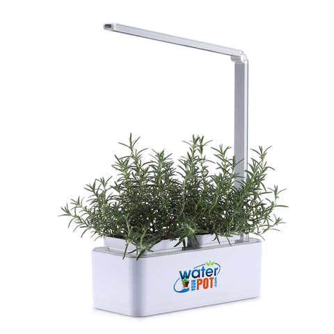 Water Your Pot Smart Mini Garden with Grow Light