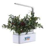 Water Your Pot Smart Mini Garden with Grow Light