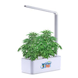 Water Your Pot Smart Mini Garden with Grow Light